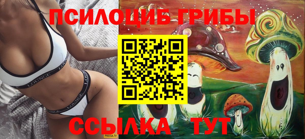 Галлюциногенные грибы мухоморы Барнаул
