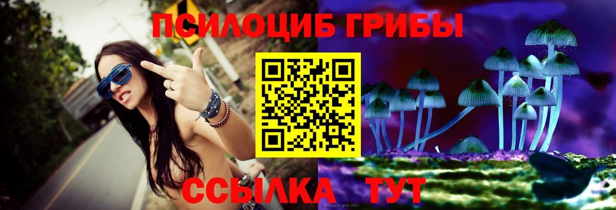 Псилоцибиновые грибы Psilocybine cubensis  Галлюциногенные грибы Psilocybine cubensis  Вход с VPN  Барнаул 